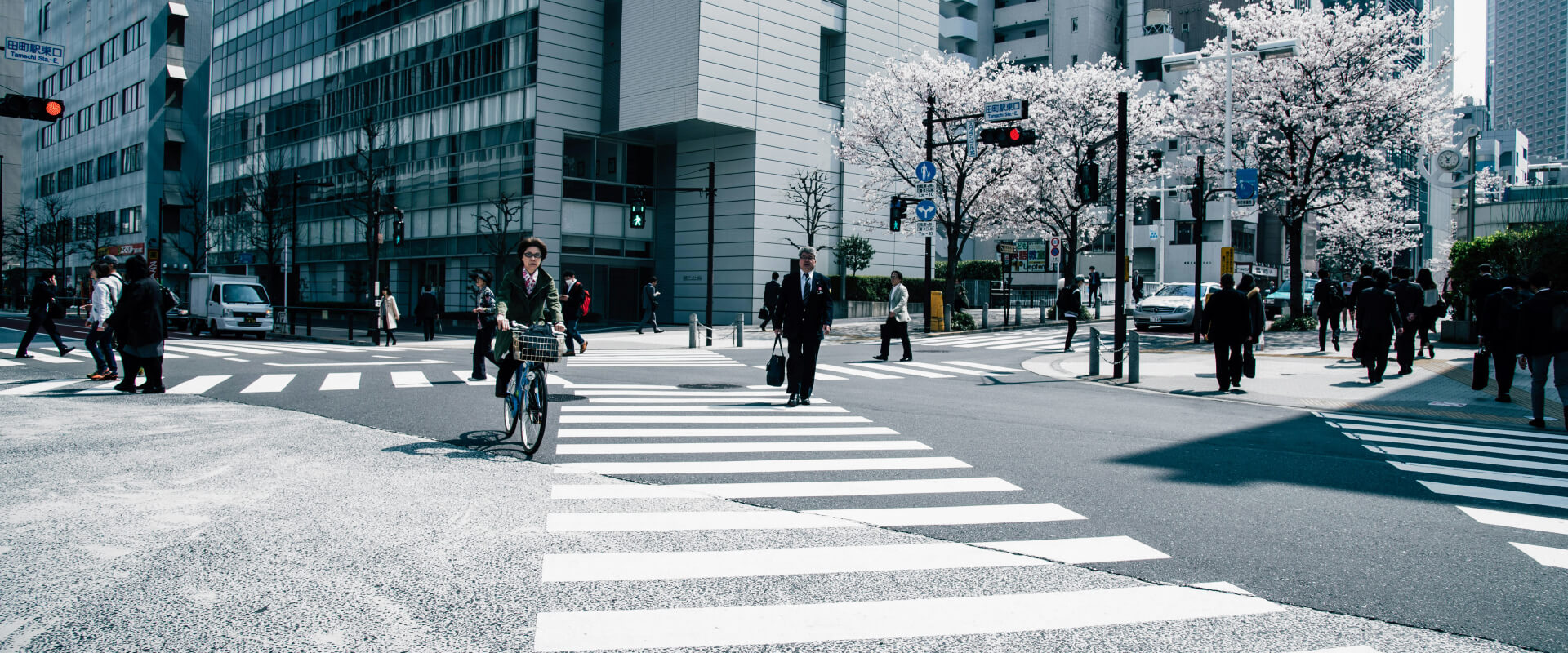 Play with Real Dealers 24/7